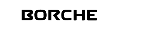 BORCHE